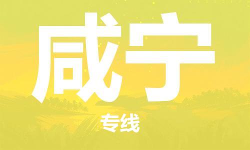 天津到咸宁货运公司_天津到咸宁物流专线_天津到咸宁货运专线