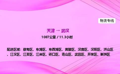 天津到武汉物流公司-天津至武汉物流专线-批发商货物运输专线 天津到武汉物流公司-天津至武汉物流专线-批发商货物运输专线