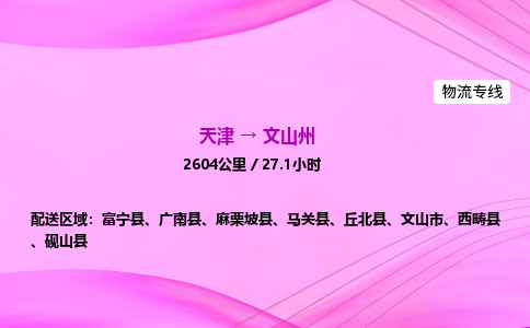 天津到文山州物流公司-天津至文山州物流专线-轿车托运专线