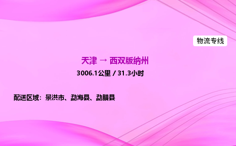 天津到西双版纳州物流公司-天津至西双版纳州物流专线-零担运输专线 天津到西双版纳州物流公司-天津至西双版纳州物流专线-零担运输专线