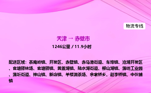 天津到赤壁市物流专线-【快速安全的】天津至赤壁市货运公司 天津到赤壁市物流专线-【快速安全的】天津至赤壁市货运公司