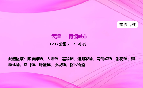 天津到青铜峡市物流专线-【快速安全的】天津至青铜峡市货运公司 天津到青铜峡市物流专线-【快速安全的】天津至青铜峡市货运公司