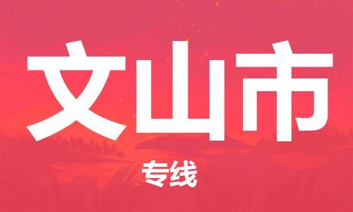 天津到文山市物流专线-天津至文山市货运公司物流专线直达不中转