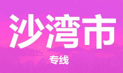 天津到沙湾市物流公司-天津至沙湾市货运专线「专业可靠」
