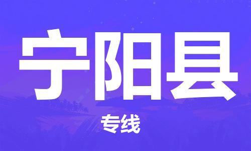 天津到宁阳县物流专线-天津到宁阳县货运公司-价格从优「时间准时」
