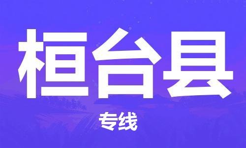 天津到桓台县物流专线-天津到桓台县货运公司-价格从优「全境派送」