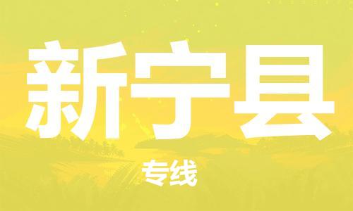 天津到新宁县物流公司-天津至新宁县专线「行李托运专线」 天津到新宁县物流公司-天津至新宁县专线「行李托运专线」