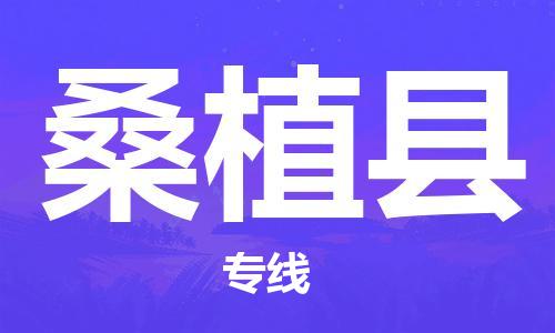 天津到桑植县物流专线-天津到桑植县货运公司-价格从优「高效运输」