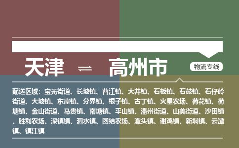天津到高州市物流公司-天津至高州市货运专线物流专线送货上门